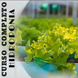 Curso completo hidroponia