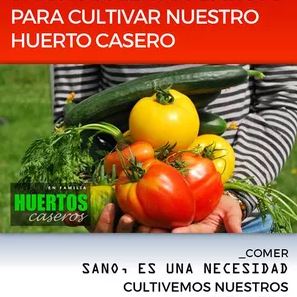 8 Conocimientos Básicos sobre el Cultivo de las Hortalizas