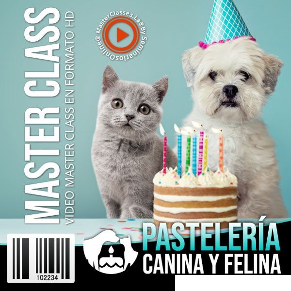 Pastelería canina y felina ¿Vale la pena? Opiniones y cómo emprender